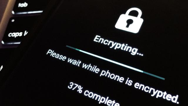 A New US Congress Bill Could Stop State-Level Encryption Bans