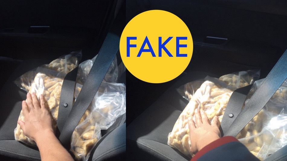 9 More Viral Photos That Are Completely Fake