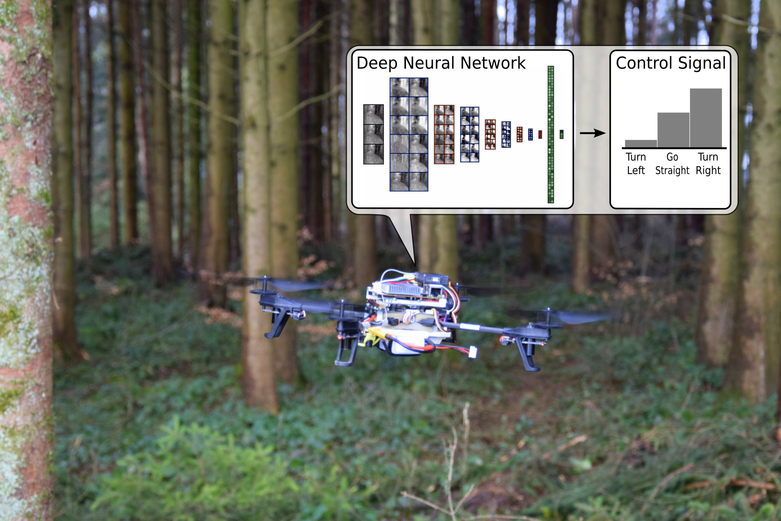 These Rescue Drones Search Forest Trails Like Robot Rangers