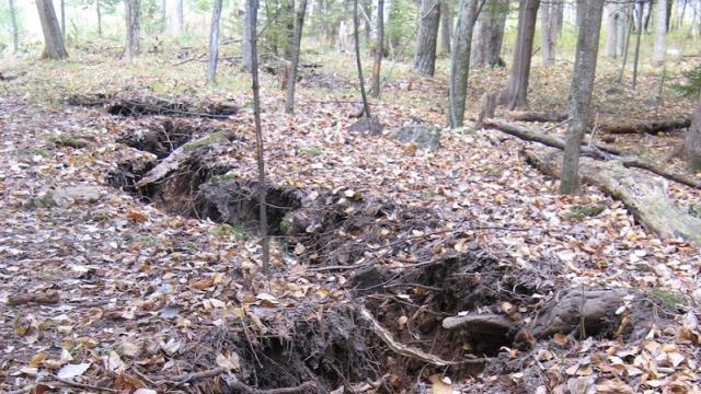 We Finally Know What Caused This Mysterious Crack In A Michigan Forest