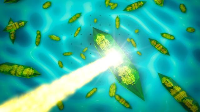 Now There’s A Better Way To Image Crystals With X-Ray Lasers