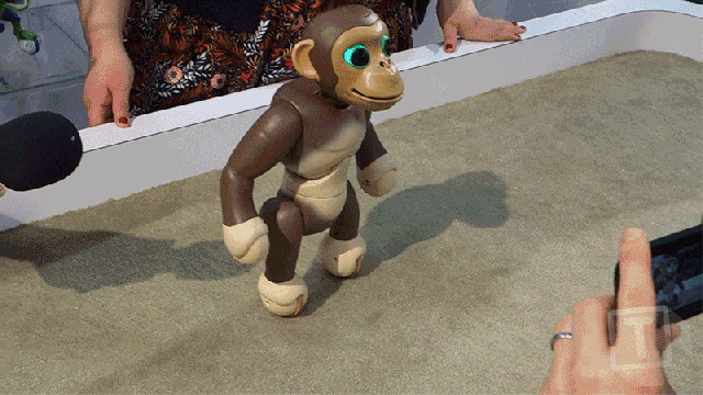 The Zoomer Robot Chimp Stands And Balances On Two Feet Better Than A Toddler Can