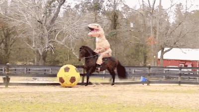 A T. Rex Riding A Horse Kicking A Soccer Ball Is Everything Wonderful About The Internet