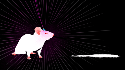 Scientists Use Light To Alter Memories Of Cokehead Mice