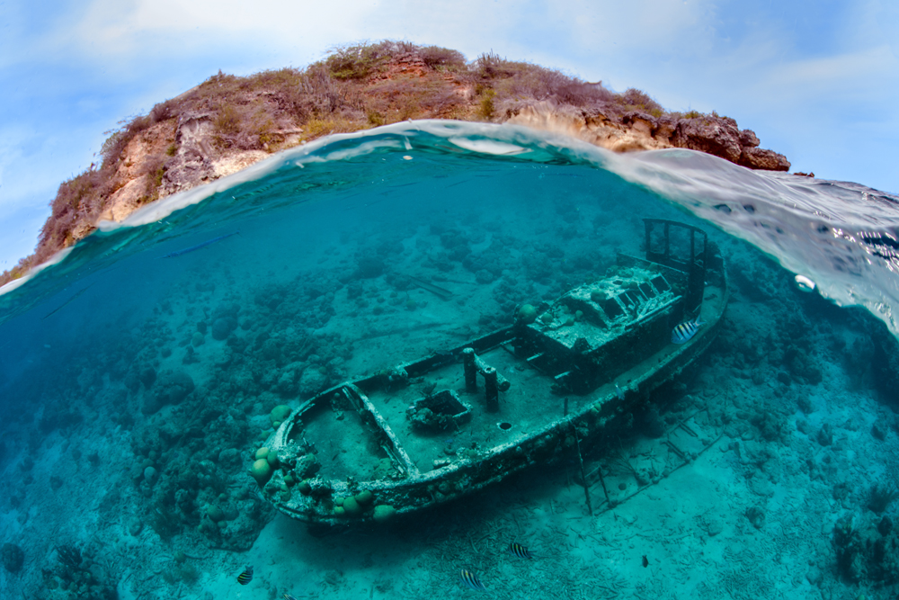 These Award-Winning Underwater Photographs Are Dazzling