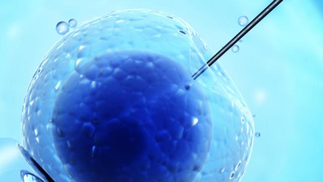 Scientists Squeeze Fertilised Eggs Like Ripe Fruit To See How Viable They Are
