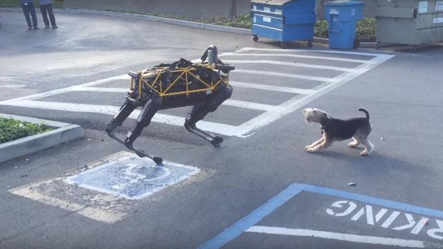 Actual Dogs Don’t Like Robotic Dogs Either