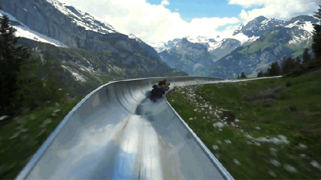 Racing Down A Stunning Alpine Coaster Reminds Me To Never Grow Up