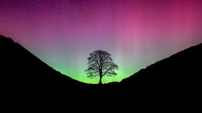 Rare Glimpse Of Aurora Borealis Spotted In Southern England Last Night