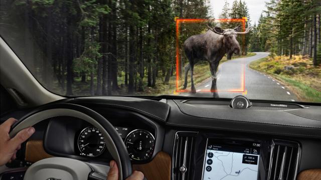 Volvo Is Adding ‘Large Animal Detection’ To Cars Because It’s Easy To Miss A Moose?