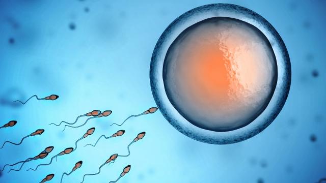 This On-Off Switch For Sperm Could Lead To Better Male Birth Control