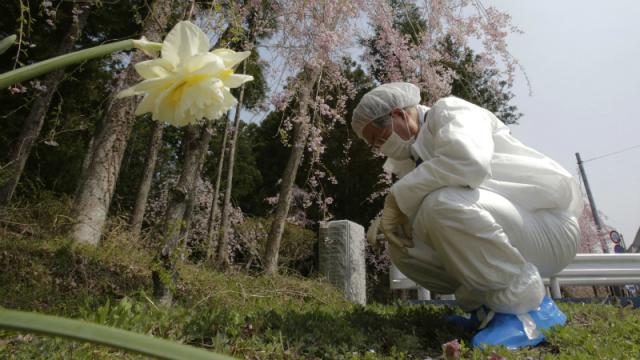 Fukushima Farmers Are Using Soil Made From Polyester