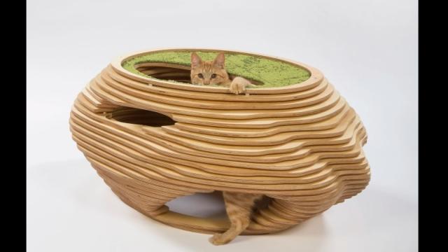 Behold The Best-Designed Cat House Any Cat Will Still Completely Ignore