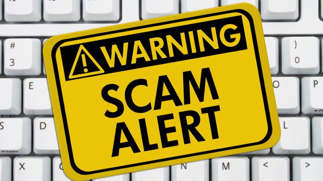 Fallen For an Online Scam? The Last Thing You Should Feel Is Stupid