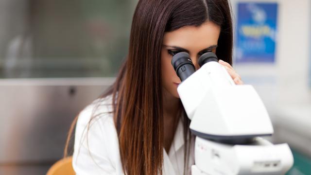 Gender Inequalities In Science Won’t Self-Correct: It’s Time For Action