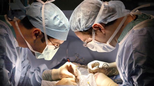 Doctors Successfully Perform World’s First HIV-Infected Liver Transplant