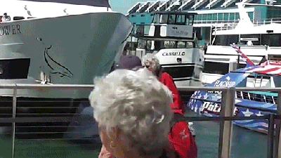 Watch A Boat Crash Straight Into The Dock