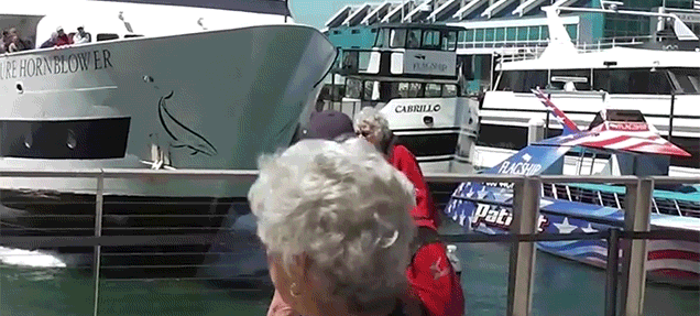 Watch A Boat Crash Straight Into The Dock