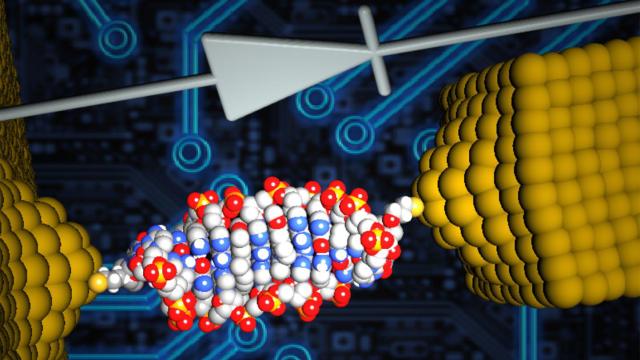 The World’s Smallest Diode Is Made Of DNA