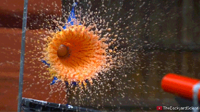 What Happens When You Shoot A Golf Ball At A Balloon Filled With Non-Newtonian Fluid?