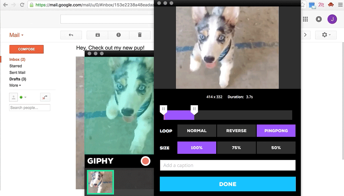 A Dead Simple Tool For Making A Gif Of Your Desktop
