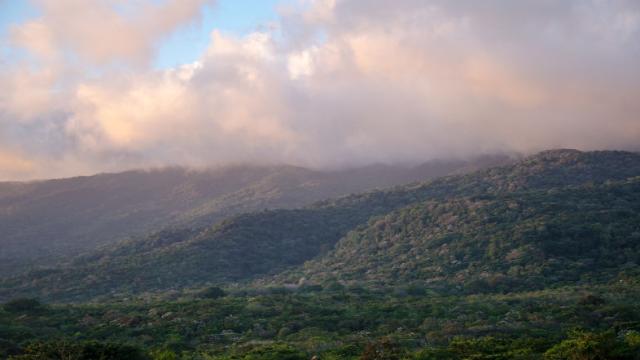 Preserving Land Isn’t Enough To Save The Tropics