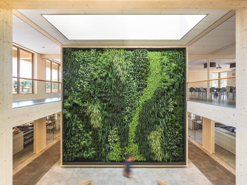 This Is The Most Sustainable Office In The World 