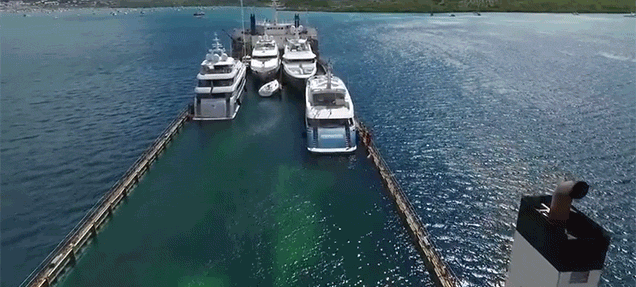 Giant Yacht Carrier Sinks Into The Water To Swallow Ships And Then Rises To Transport Them