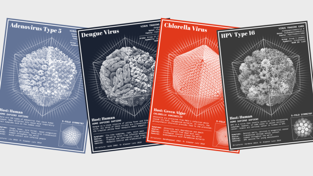 These Virus Trading Cards Should Be A Real Game