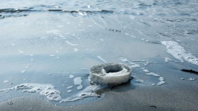 Supermaterial Made From Seaweed Could Replace Bubble Wrap