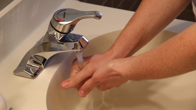 The Most Effective Way To Wash Your Hands, According To Science