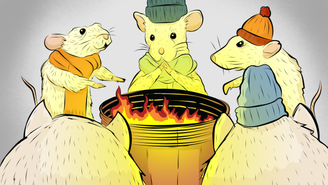 Lab Mice Are Freezing Their Asses Off, And It’s Screwing Up Science
