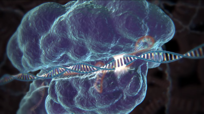 CRISPR Just Got One Step Closer To Editing Human Genes With Ease