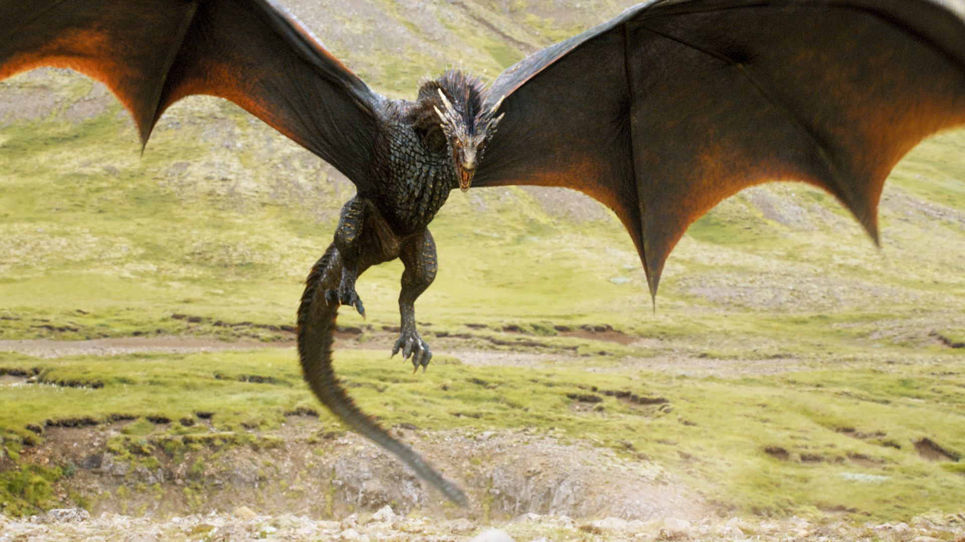 A Scientific Guide To The Fantastical Predators In Game Of Thrones