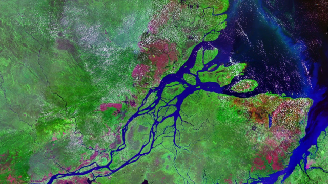 There’s A Gigantic Reef Surrounding The Amazon River And Nobody Noticed