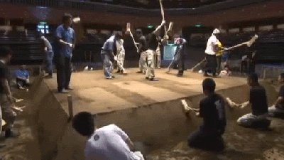 Seeing How A Sumo Ring Gets Built Is Truly Fascinating