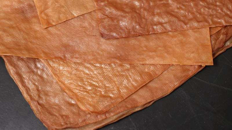 This New Fake Leather Is Made From Tea
