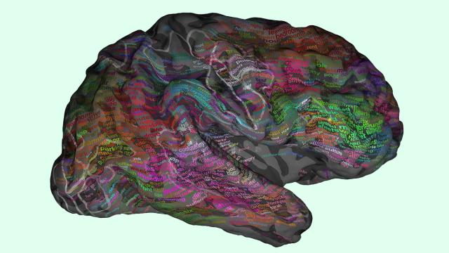 New Brain Map Shows Where Words Are Stored Inside Your Head