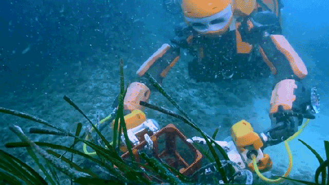Oh Great, A Deep Diving Robot Is Going To Steal All Our Pirate Treasure