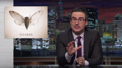 John Oliver To Cicadas: Here’s Everything You Missed Since 1999