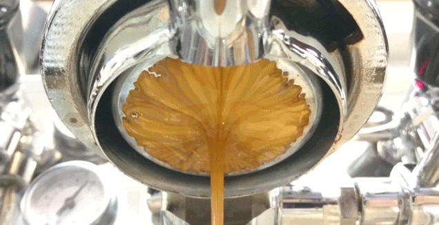 Gorgeous Shot Of An Espresso Being Poured From The Machine