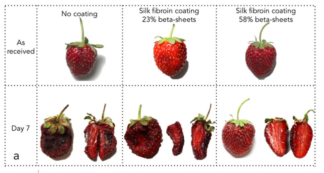 Super-Thin Silk Coating Keeps Fruit Fresh For Over A Week