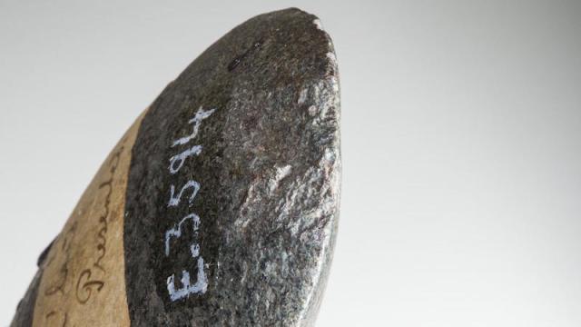 The World’s Oldest Axe Has Been Found In Australia
