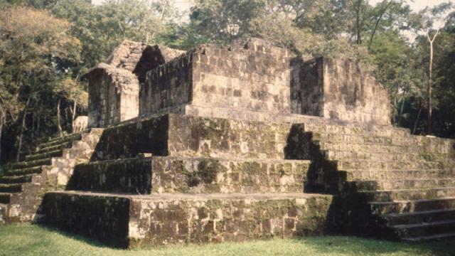 Experts Doubt That A Teen Found A Lost Maya City
