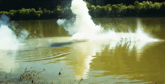 Skipping A Pound Of Sodium Across A Lake Is Way More Fun Than Skipping A Rock