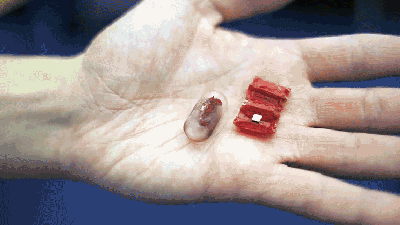MIT Wants You To Swallow This Origami Robot Pill To Retrieve Other Crap You’ve Swallowed