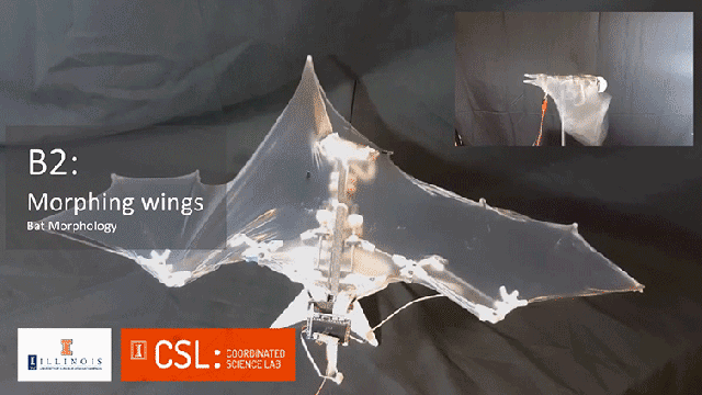 Fake Skinned Robot Bats Will Soon Be Creeping Us Out From The Skies Above