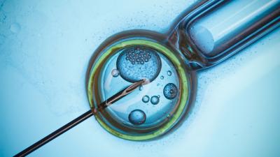 A Flaw Has Been Detected In A Ground-Breaking Fertility Treatment