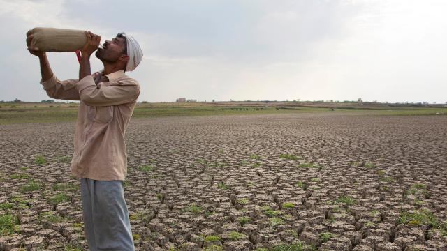 India Experienced Its Hottest Ever Recorded Temperature Of 51C