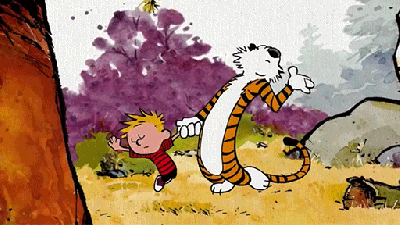 What Makes Calvin And Hobbes So Special?